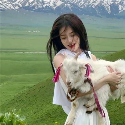 爱情热线